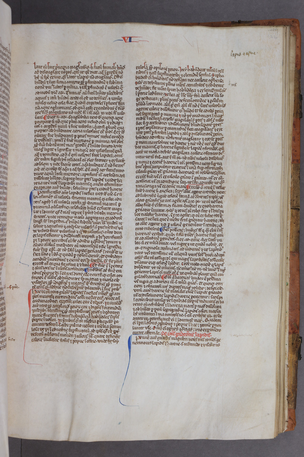 Folio 124 recto